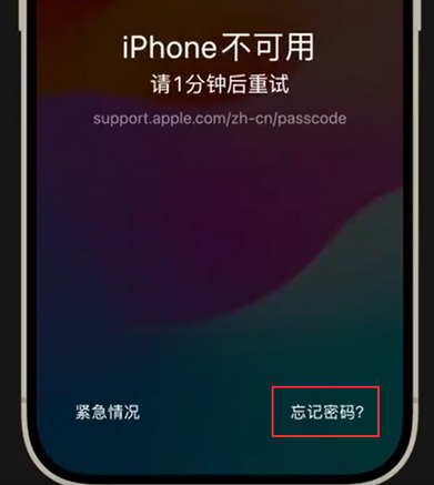 余杭苹果手机密码维修分享iPhone忘记了刚设置的密码 